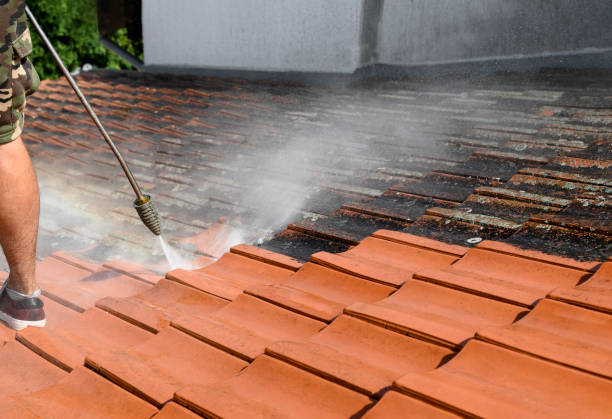 Best Residential Pressure Washing Services  in Murillo, TX