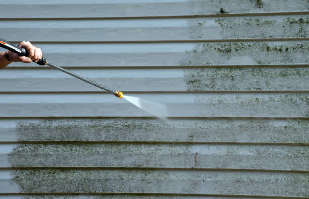 Best Concrete Pressure Washing  in Murillo, TX