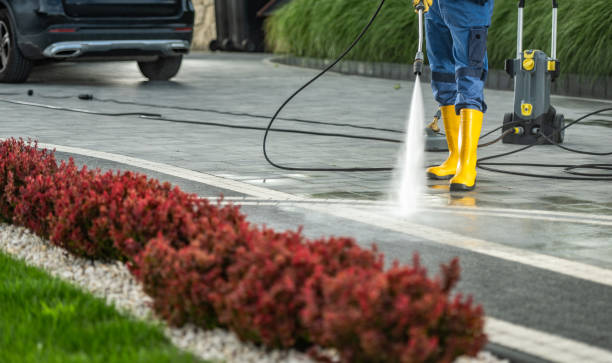 Best Roof Power Washing Services  in Murillo, TX