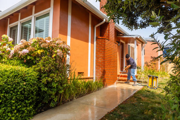 Best Residential Pressure Washing Services  in Murillo, TX