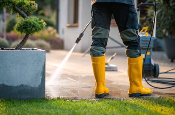 Best Concrete Pressure Washing  in Murillo, TX